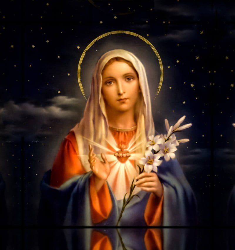 http://divinemercyforamerica.org/wp-content/uploads/Mary-with-Lily-Original-3.jpg