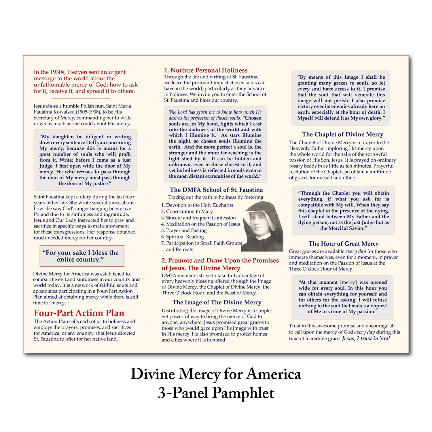 dmfa-brochure-2025-store-image-inside